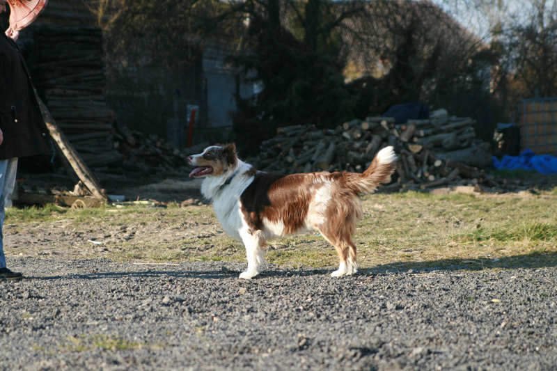 Cooper strike du clos de mélie